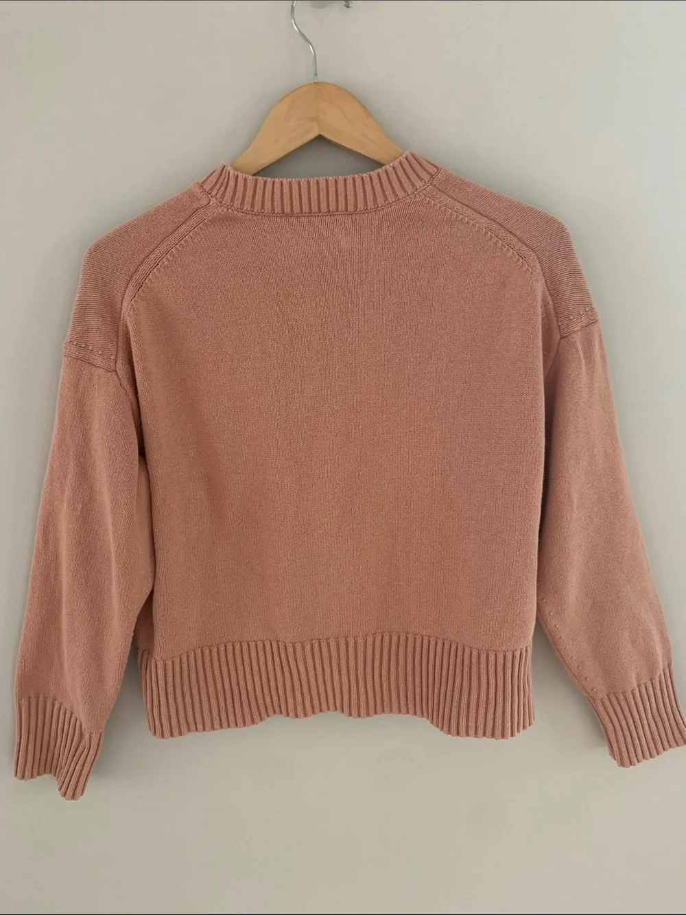 Everlane The Boxy Sweater In Everyday Cotton Blush Pink Size Small